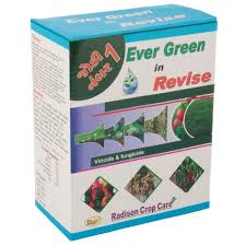 Evergreen Revise Virucide Fungicide