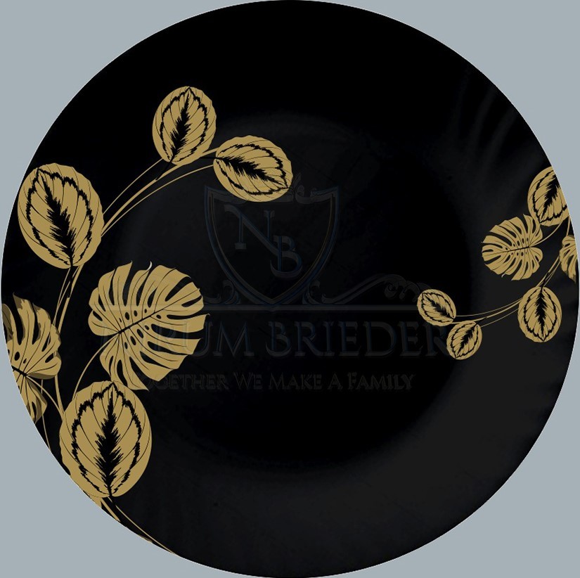 Black-Gold Dinner Plate