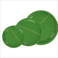 Eco-friendly Disposable Green Paper Plate