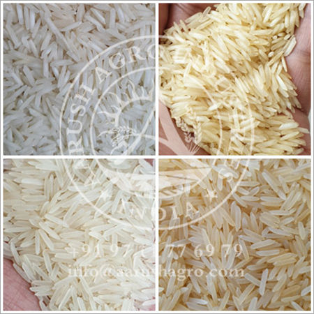 1121 Basmati Rice