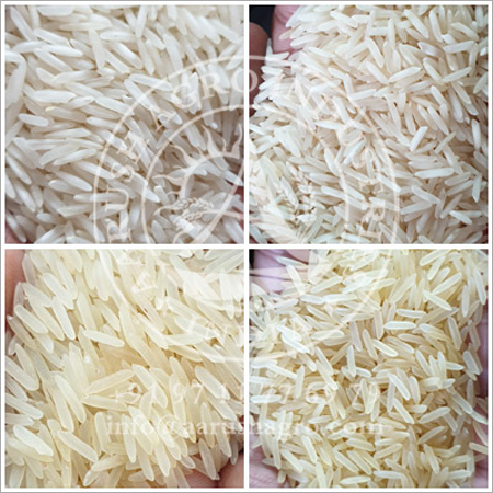 sugandha rice