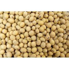 Soybean Seeds