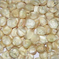 White Maize - Organic, Grade A/b/c, 50 Kilograms, 99% Purity | Edible, Hybrid, 9 Months Shelf Life