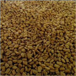 Fenugreek Seeds