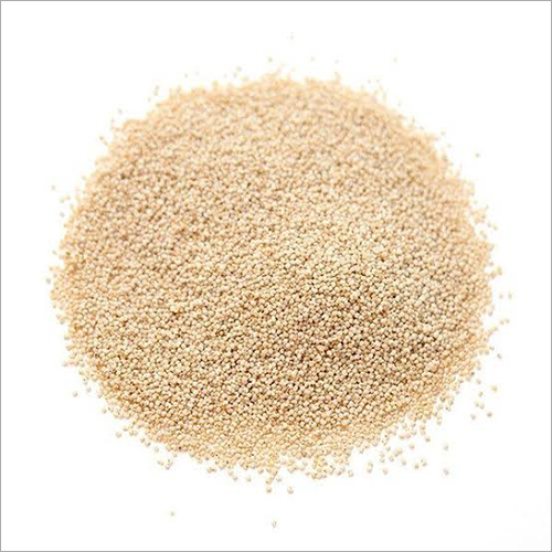 Organic Poppy Seeds