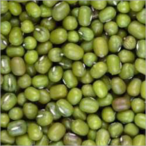 Organic Fresh Green Mung Beans