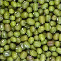 Fresh Green Mung Beans - 50kg Pp Bags, Moisture Max 14%, Admixture Max 0.5%, 99.8% Purity, Organic, Dried, Whole, Round Shape, Shelf Life 9 Months