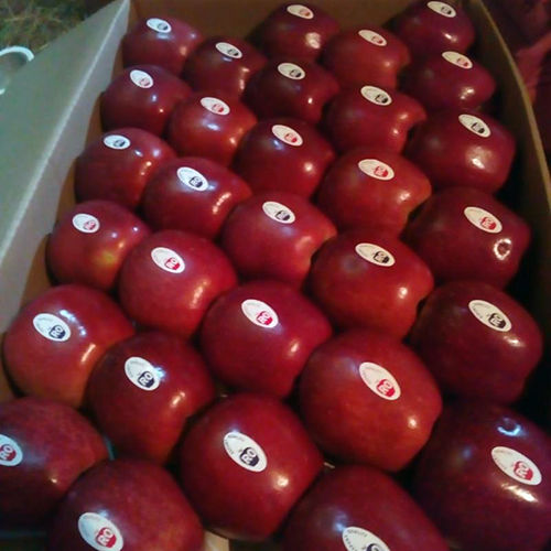 Red Apples