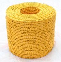 PP Danline Rope