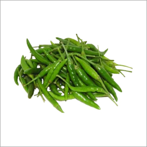 Green Chilli By NISA TRADING ORG
