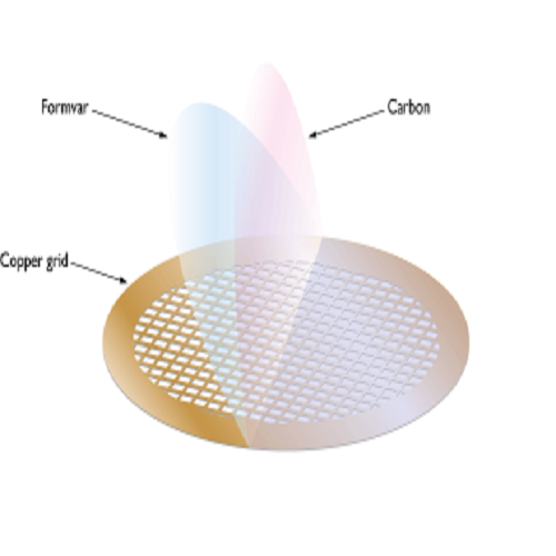 Formvar/Carbon Films on F1 Copper Grids (Pack of 25)