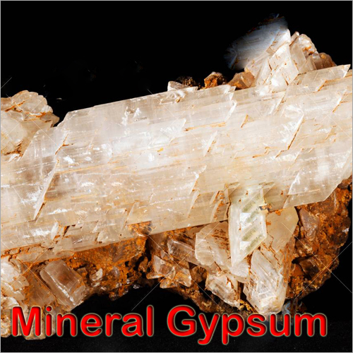 Mineral Gypsum Crystal