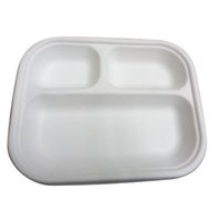 10 Inch 3 CP Round Bagasse Plate