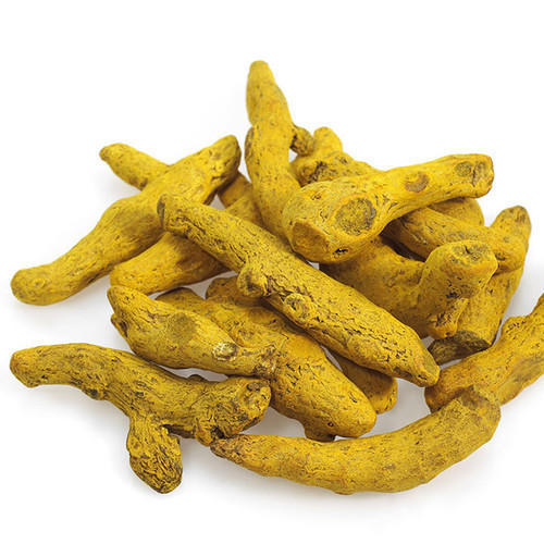 Double Polished Turmeric Finger