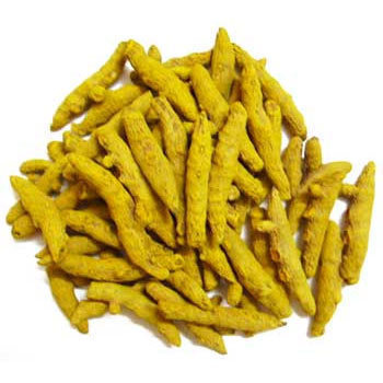 Double Polished Turmeric Finger