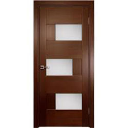 Designed Flush Door