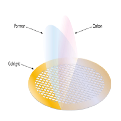 Formvar/Carbon Films on F1 Gold Grids (Pack of 25)