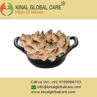 Best Dry Ginger Spices