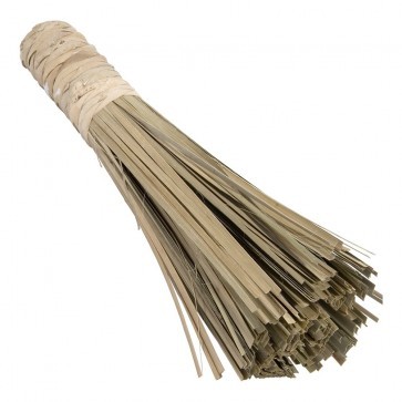 Chinese Broom Bamboo