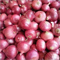 Fresh Red Onion - Raw, Small To Big Sizes (10-50 Mm) | Seasoned, Freshly Sourced, Long Shelf Life, Ideal For Culinary Use