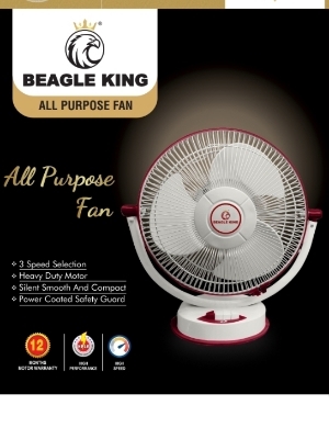 All Purpose Fan