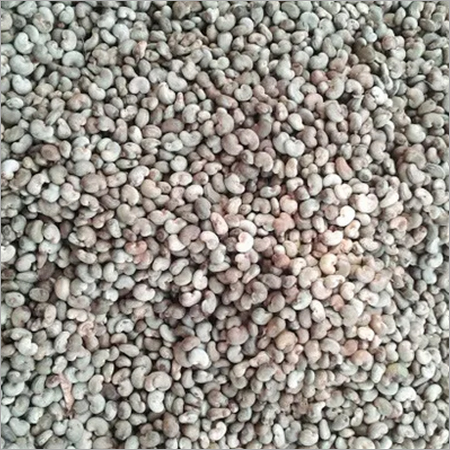 Common Raw Cashew Nut