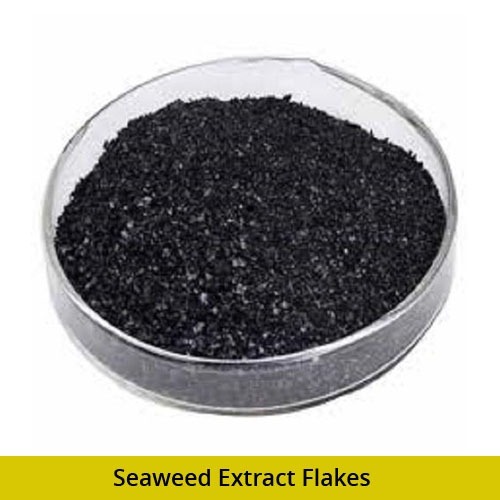 Seaweed Extract Flakes
