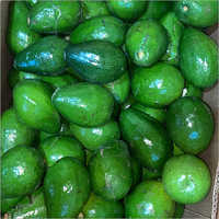 Fresh Avocado - Organic Whole Avocados | High Class Natural Variety, Perfectly Packed For Freshness And Protection Against Contaminants