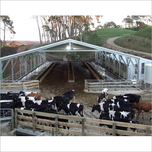 Prefabricated GI Cattle Shed