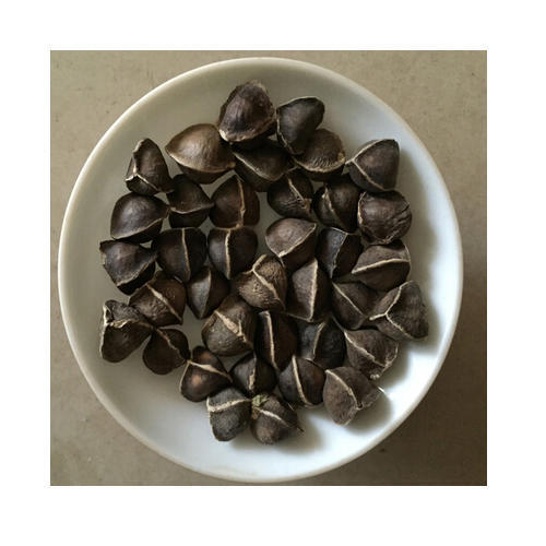 Black Moringa Seed / Drumstick Seed
