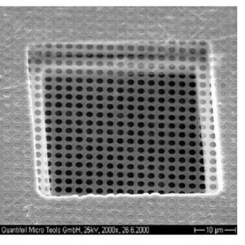 Quantifoil R1.2/1.3 Holey Carbon Films - Circular