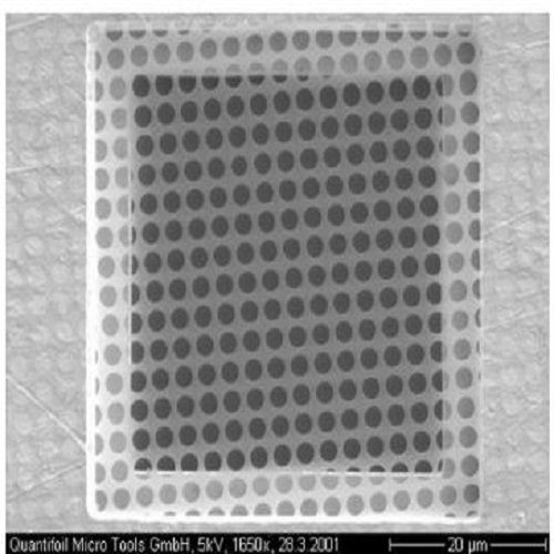 Quantifoil R2/1 Holey Carbon Films - Circular