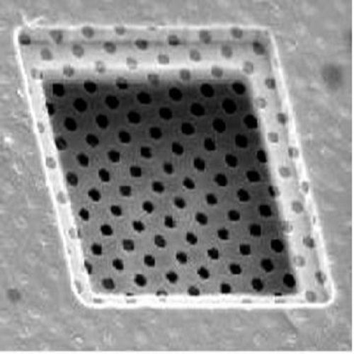 Quantifoil R2/2 Holey Carbon Films - Circular