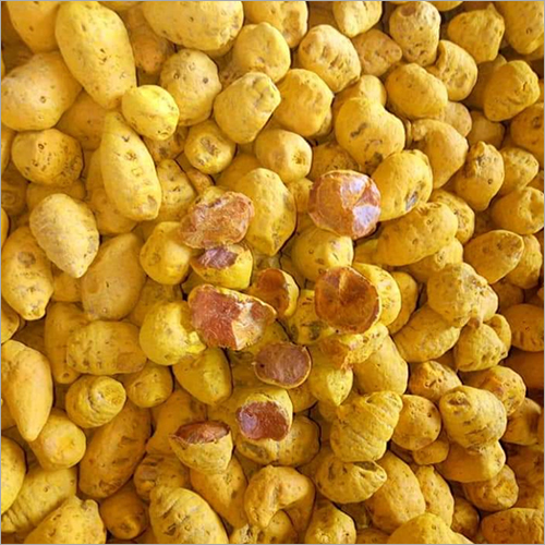 Turmeric Gattu