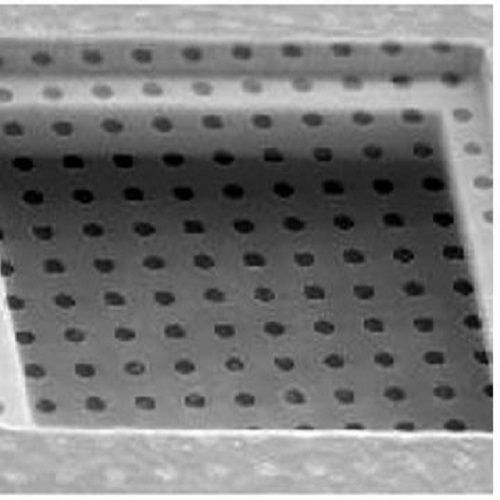 Quantifoil R2/4 Holey Carbon Films - Circular