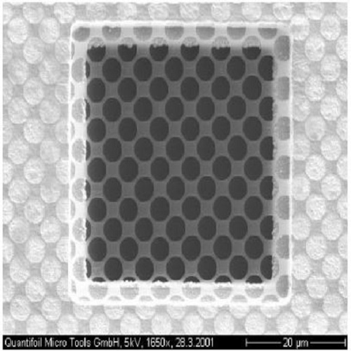 Quantifoil R3.5/1 Holey Carbon Films - Circular