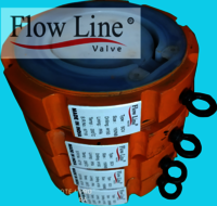 Fep Swing Check Valve - Material: Cast Iron