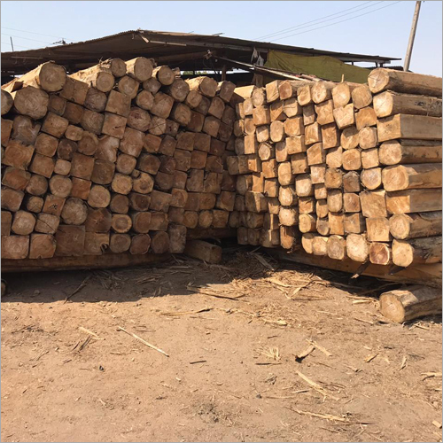 Sudan Teak Logs