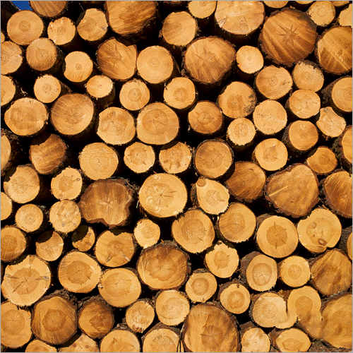 Round Teak Logs
