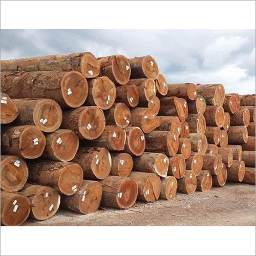 Teak Wood Logs