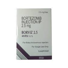 BORVIZ