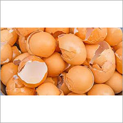 Light Brown Natural Egg Shell