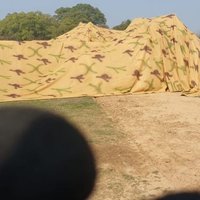 Camouflage Shade Net