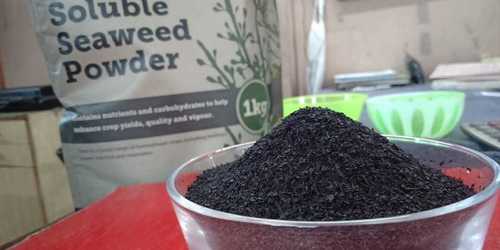 Seaweed Extract