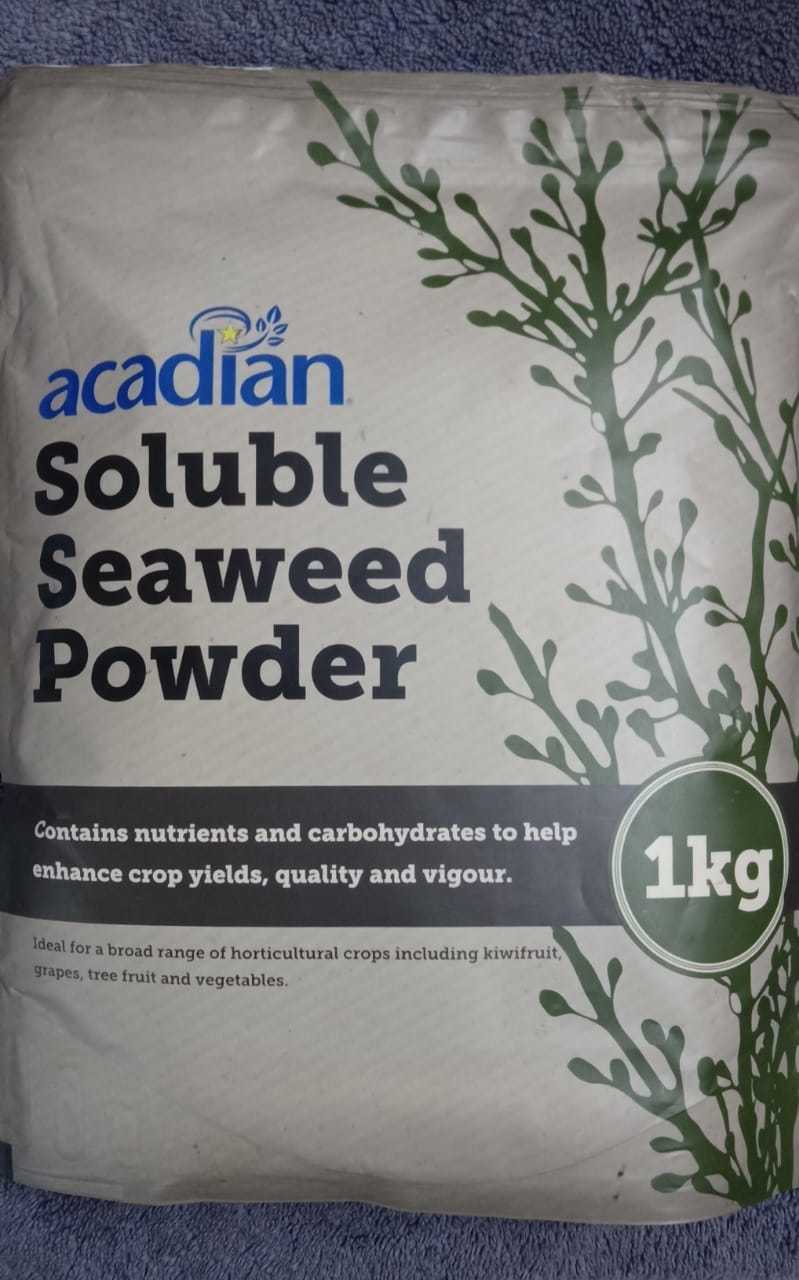 Seaweed Extract