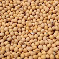 Common Organic Soybean Seeds