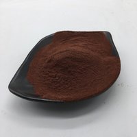 Brazilian Cocoa Extract Cocoa Bean Extract Theobroma Cacao L.