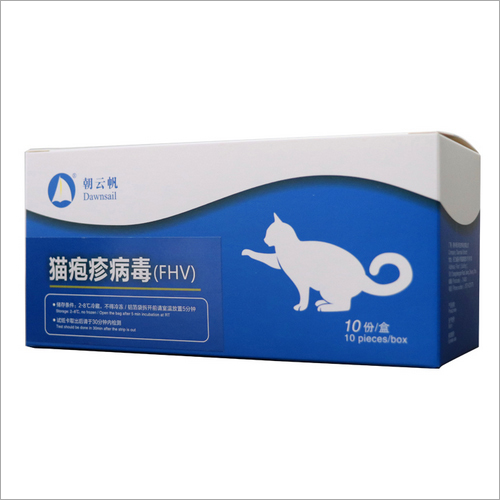 Fluorescent Quantitative Feline HerpesVirus Test Kit