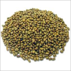 Indian Green Mung Beans By GAJANAN AGRO INDUSTRIES