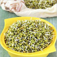 Fresh Green Mung Beans